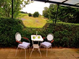 Ferienhaus Gransee unmittelbar am Stechlinsee - Radweg