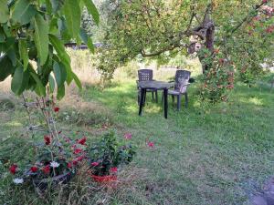 Ferienhaus Gransee unmittelbar am Stechlinsee - Radweg