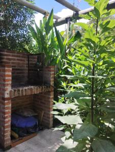 MareaAlta & MarDefondo