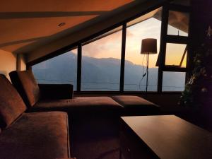 House of Joe - Pinewoods