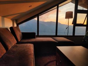 House of Joe - Pinewoods