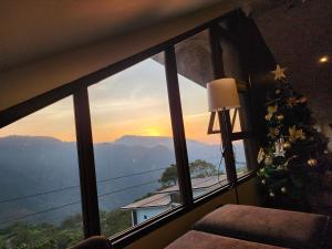 House of Joe - Pinewoods