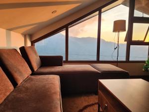 House of Joe - Pinewoods