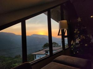 House of Joe - Pinewoods