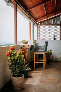 Terraza Puerto Hostel