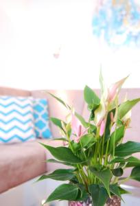 STRANDIDYLL, 58 - Typ A1S