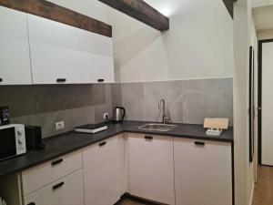 Go Residence 5 appartamento in centro cittĂ