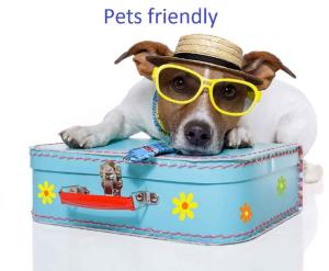 Apartments in Novi Vinodolski 35132