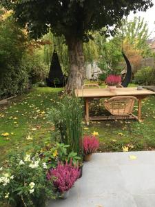 Petit cocon lillois:Cheminée & jardin