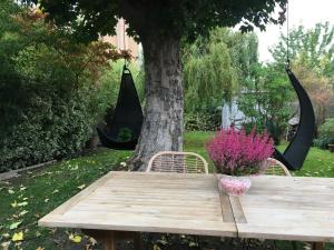 Sejours chez l'habitant Petit cocon lillois:Cheminee & jardin : photos des chambres