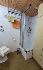 Appartement Nr 11, Oberstaufen-Steibis, Allgäu, Oberstaufen PLUS