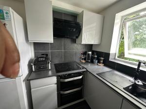 Charming Flat in North London