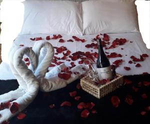 Recanto dos Pinheiros beautiful mountain views