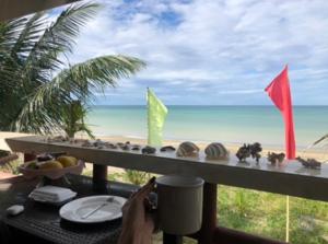 Hollywood Beachfront Bed & Breakfast