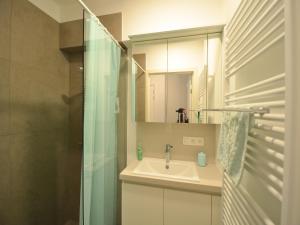 Apartment in Oostduinkerke near the Beach