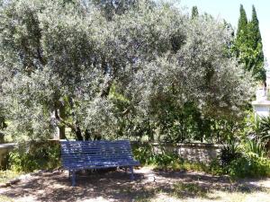 Appartements Sunny Provence Home with Terrace : photos des chambres