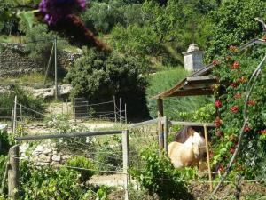 Maisons de vacances Cozy Vacation House with Pool, Vernegues : photos des chambres