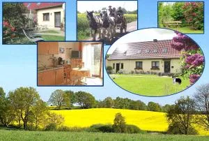 Ferienhof Winther 1 - Badow