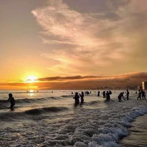 Apto Ocian Praia Grande