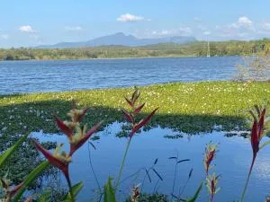 Lake Entrance - Kirindiwelmada