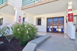 Comfortable Apartment in Puerto Rico