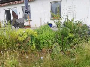 Ferienwohnung - a44958 (Ferienwohnung Wittenburg 1)