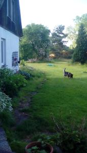 Ferienwohnung Wittenburg 1