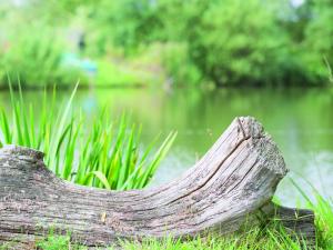 Fewo 1 "Landhaus am Grashof"