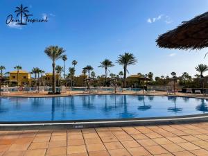 Rentalfue oasi tropical