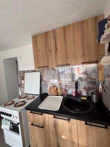 Apartman Mica i Živo