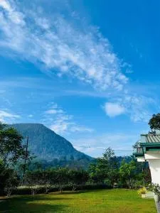 Rainforest Mount Villa - Pitabeddera
