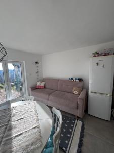 Apartman Mica i Živo