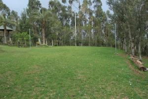 Comfortable and quiet tiny home close to the city