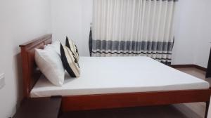 King Elephant, Homestay Pinnawala