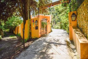 Penedo Escape Nature