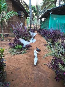 River Breeze cottage Gokarna