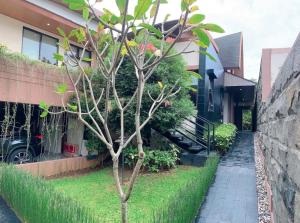 Vimalla Hills, Soekma 3BR Private pool Villa