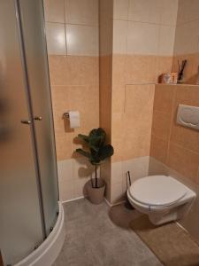 Apartman s terasou