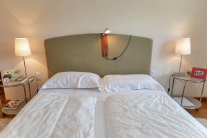 Chesa Viroula - Zuoz