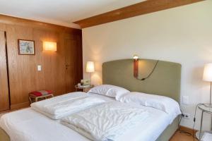 Chesa Viroula - Zuoz