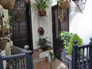 Kleines Einzelzimmer mit Meerblick