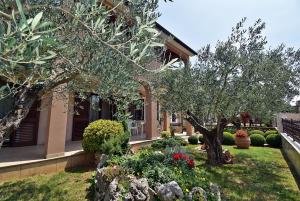 Apartments Tina & Denis