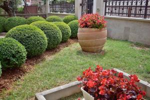 Apartments Tina & Denis