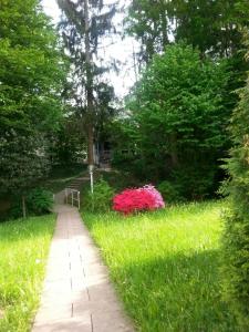 Apartment - Ground Floor room in At the Turgenev Villa Apartment