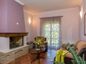 Villa in Monti ana with Pool near Mirna River