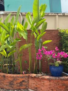 cozy, beautiful room