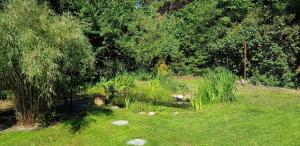 Ferienhaus Fichtenwalde, 160qm, 3SZ, 2BD, Küche, VDSL