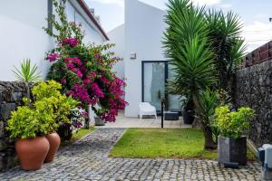 Casa da Árvore - Chalé