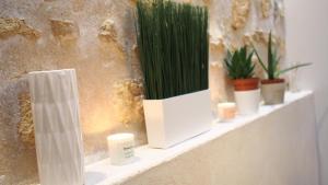 Appartements Esprit Bordelais : photos des chambres