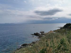 Apartamento en zona privilegiada con encanto AV-43